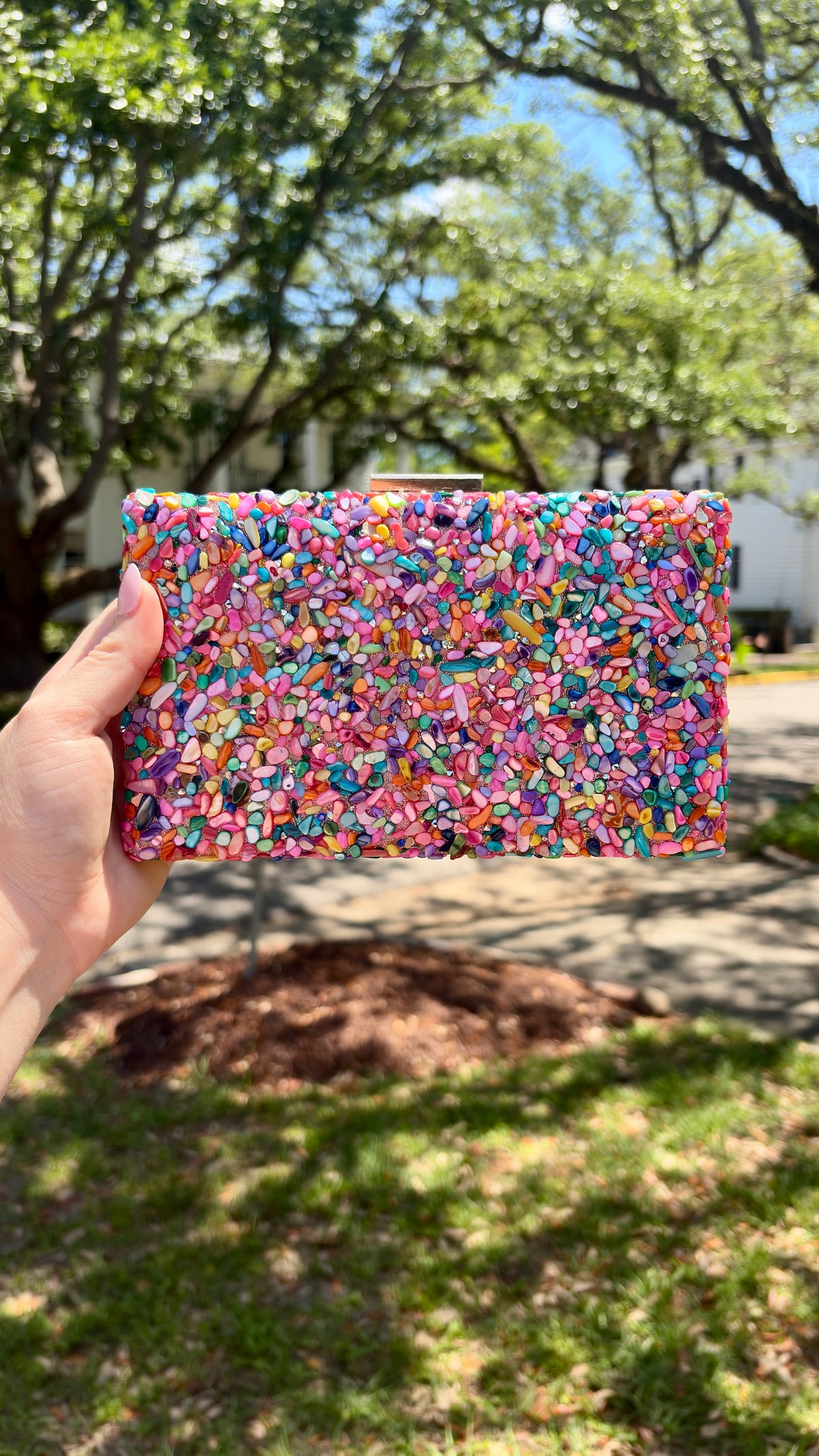 Multi Pebble Minaudière